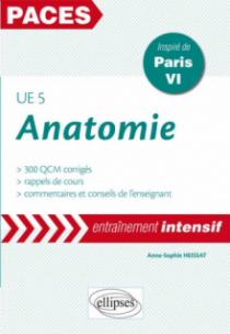 UE5 - Anatomie
