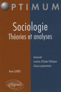 Sociologie. Théories et analyses