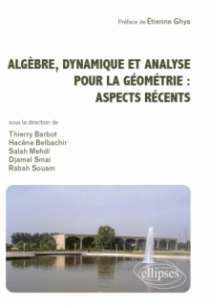 Algèbre, dynamique et analyse pour la géométrie : aspects récents