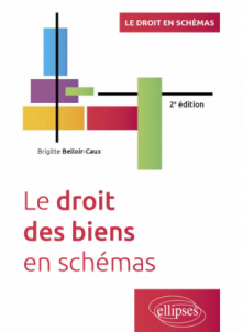 Le droit des biens en schémas - A jour au 15 avril 2024 - 2e édition