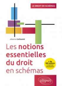 Les notions essentielles du droit en schémas - + de 180 notions à maîtriser absolument