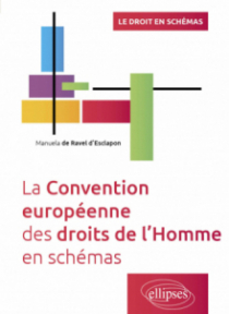 La Convention européenne des droits de l'Homme en schémas - A jour au 30 avril 2024